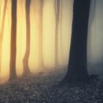 دانلود آهنگ وطنی الغالی وطنی حبیبی